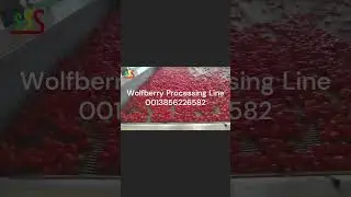Wolfberry Juice Production Line  2024