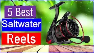Best Saltwater Reels in 2026 | Top 5 Best Saltwater Reels -Buy Now