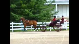Walnut Hill Carriage Driving Competition 2013 - Park Division Sponsored by Driving Essentials