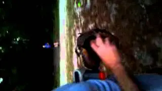 Taylor Bowen playing around ...50 ft