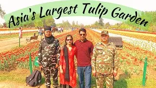 Indira Gandhi Tulip Garden Tour | Tulip Garden Srinagar | Kashmir Tourist Places | Srinagar Tour
