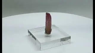 Double-terminated polychrome Tourmaline (Elbaite) crystal    2