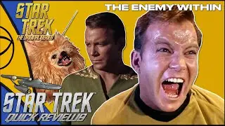 This Plot Makes No Sense! The Enemy Within   Star Trek Season 1 Episode 5   TrekHammer Quick Review