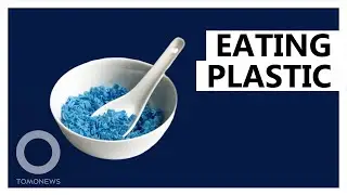 This is how much plastic you eat every week - TomoNews