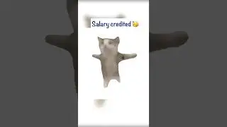 Salary came and left 🥹#trendingshorts #viral #memes #funny #relatable #catmemes
