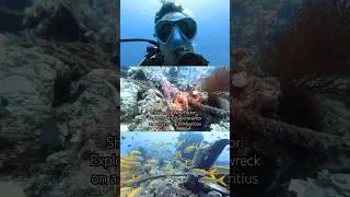 Scuba Diving a Shipwreck in Mauritius 🤿⚓️⛴️ #shipwreck