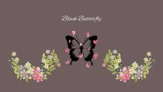 Tappa Walo - Black Butterfly