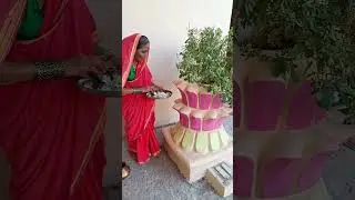 आजीच्या अंगणातील तुळस किती मोठी आहे ते बघा 😱 #aaplimaay #kedardhagevlogs