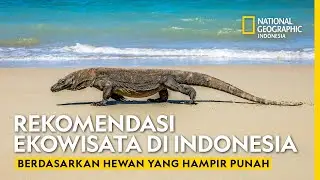 Enjoying Indonesia's Natural Charm: Six Must-Visit Ecotourism Destinations