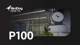 P100 How To - Advanced Colour Tools