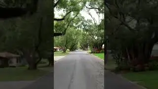 Most beautiful street in Lakeland Florida. Full video link at the end.