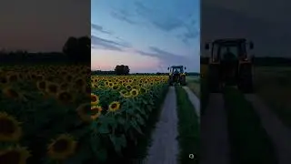 20250831 2021 Sunflower Path Tractor simple compose 01k40ns24vfxerrhg1yvppfde3
