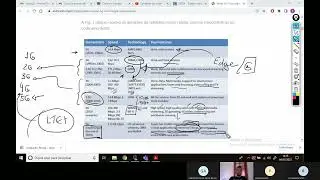 Laboratório de Sistemas de Comunicação - Aplicações 5G - Aula de 04/02/2022
