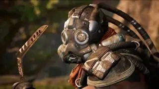 PARAGON - Drongo 