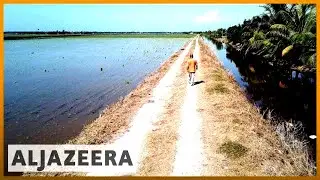 🌏 Asia Pacific: Agriculture, population growth spike water needs | Al Jazeera English