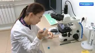 В хозяйствах республики проходит оплодотворение мелкого рогатого скота