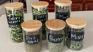 Dry curry leaves  in 7 days - Storing curry leaves for years 
