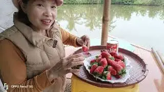 Ngày mưa gió Ăn dâu 🍓🍓🍓 Tây Cùng Chinh Vũ Chinh Vũ Vlogs.