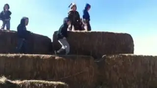 Climbing the hay stack