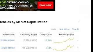 Explicatii Coin market Capital