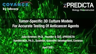Tumor Specific 3D Cell Culture Models for Accurate Testing of Anticancer Agents