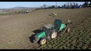 Mick Finn+Ian Power pulling beet. Thyregod+Armer Salmon