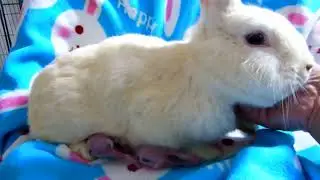 Real Time one on one nursing.