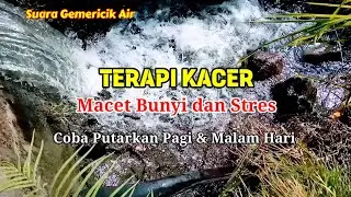 Suara Gemericik Air Terapi Burung #Kacer Macet Bunyi dan Stres