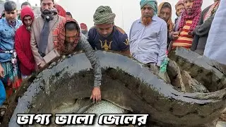 ২০২৬ সাল আসতেই পাওয়া গেল পদ্মার চরে এই দানব! জেলেদের ভাগ্য খুলে গেল এক মাছ ধরা পড়ায় | Dohar Fish