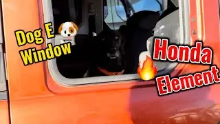 Dog E Window Unboxing • Removable Rear Window • Honda Element