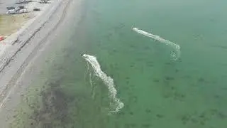 4K Drone - Beaches, Forests & Landscape of Dorset Bournemouth Boscombe Dorchester