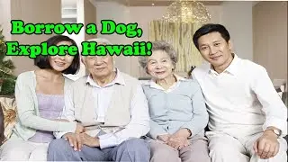 Visit Your Parents... Or ELSE! China's Controversial Elder Care Law Explained