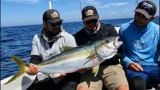 Excelente!!! Pesca con equipo lijero 🔥🔥🔥👍🏽👍🏽🤙🏽🤙🏽🎣🎣 