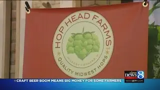 Craft beer booms leads to hops farm growth in MI