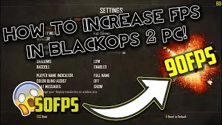 BEST FPS SETTINGS ON BLACKOPS 2 PC