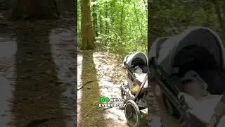 Can You Really Hike With a Stroller?
