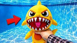 J'ai Trouvé une Nouvelle Anomalie Géante Piscine dans l'Hôpital pour Animaux !