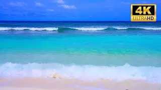 Ocean Waves ASMR (LIVE 24/7) Relaxing Ocean Sounds for Deep Sleep | 4K Beach Sounds Relaxation