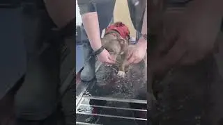 First Hydrotherapy session