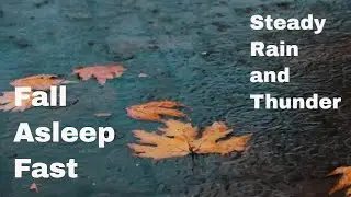 8 HOUR SLEEP VIDEO Steady Rain with Thunder | FALL ASLEEP FAST & STAY ASLEEP