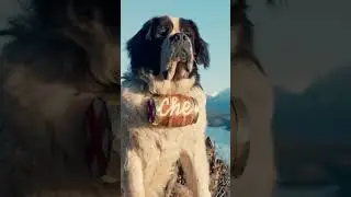90s Beethoven Movie Star: What Happened to Him?