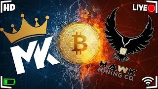Terrahash Tuesday w/ Hawk Crypto & Tech