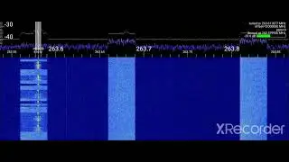 FLTSATCOM Pirates - 263.58 MHz