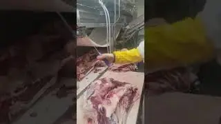 A Demonstration of the Butcher Trade