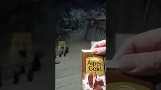Лисёнок Лёлик🦊 не ест Alpen Gold🍫 #это_мужской_канал
