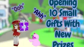 Opening 10 Small Gifts With New Prizes
