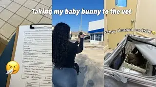 TAKING MY BABY BUNNY TO THE VET🤎| pricing, medicine, cage clean out