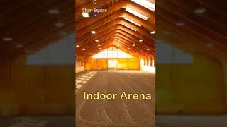 WOULD You RATHER Outdoor OR Indoor Arena | Equestrian Edition -Part.3| #Shorts | Trend | Char-Equine
