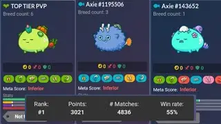 Top Rank Player Polaco | Axie.gg Gameplay (The Power of Gravel Ant) | Axie Infinity