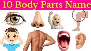 10 शरीर के अंग सीखें बच्चों के लिए | Learn 10 BodyParts Names for Kids with Pictures and Sound